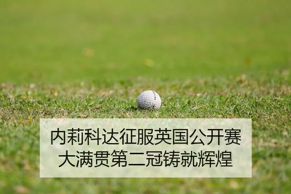 nei-li-ke-da-zheng-fu-ying-guo-gong-kai-sai-da-man-guan-di-er-guan-zhu-jiu-hui-huang-2-249.jpg